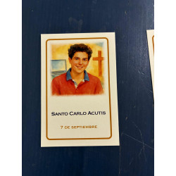 Bolsa bordada con 135 santos