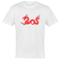 Camiseta Dragón